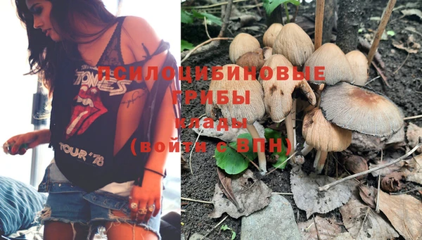 прущий лед Вязники