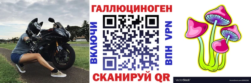 Псилоцибиновые грибы Psilocybine cubensis  Иваново 